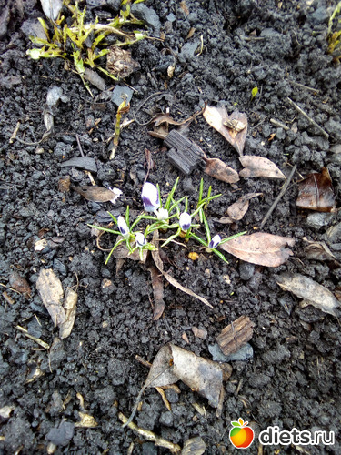 42 ����: ���