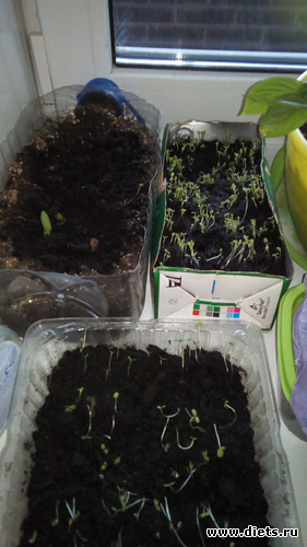 45 ����: ���