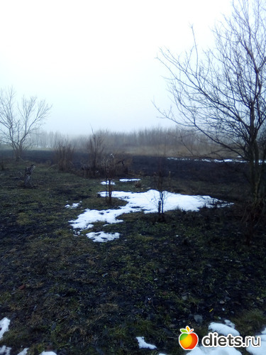 48 ����: ���