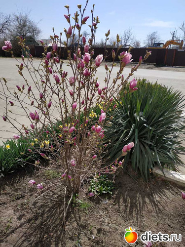 50 ����: ���