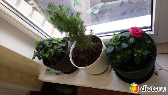 28 ����: �������� �������