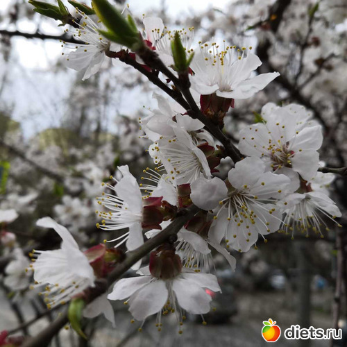 2 ����: ����� 2019 ������, ���