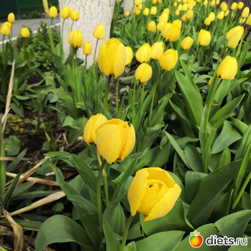 5 ����: ����� 2019 ������, ���