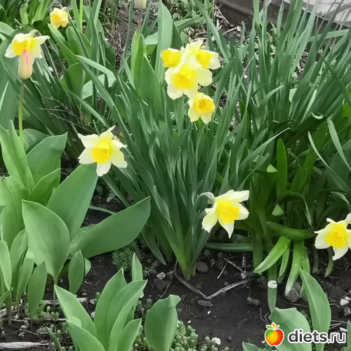 8 ����: ����� 2019 ������, ���