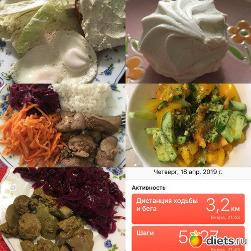 5 ����: �������� 14-27.04.2019