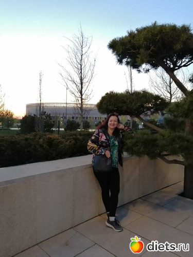 ���� ���������, ������: ���������