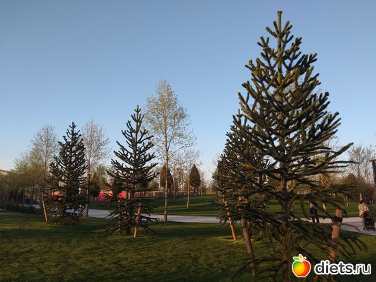 Парк Галицкого5, альбом: Краснодар