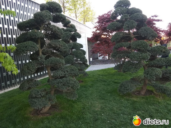 ���� ���������6, ������: ���������