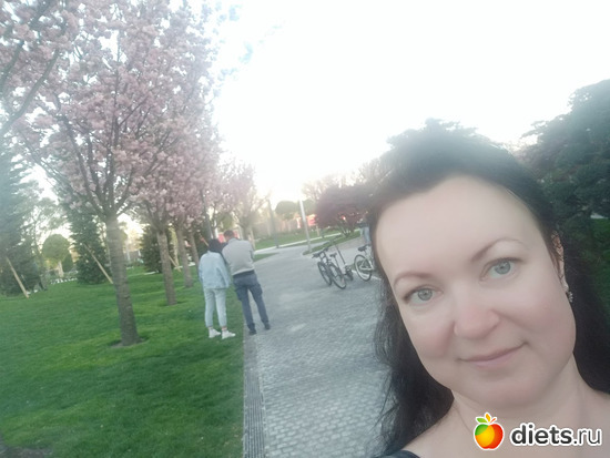 ���� ���������8, ������: ���������