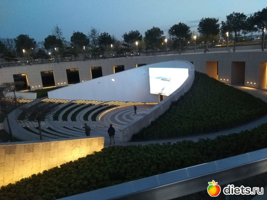 ���� ���������11, ������: ���������