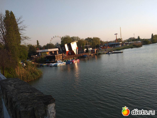 ���� ��������� ������, ������: ���������