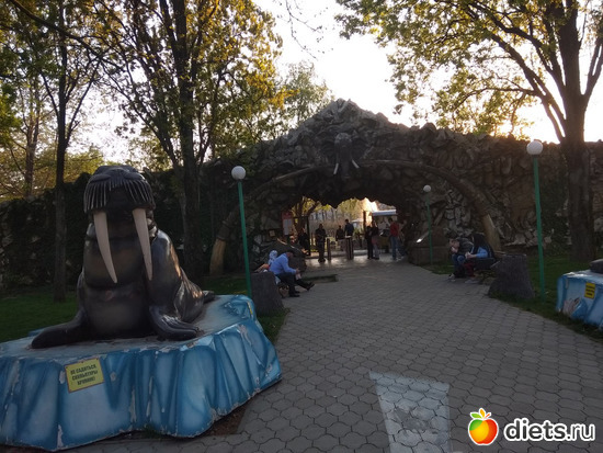 ���� ��������� ������1, ������: ���������