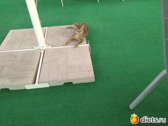 Ресторан Адмирал2, альбом: Краснодар