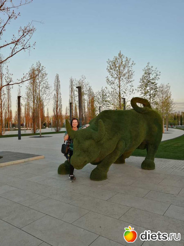 ��� ������� ����������1, ������: ���������