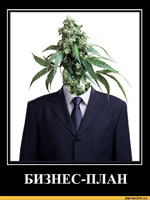 Бизнес-план