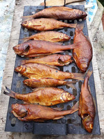   !      ! -,     -   !     12.08-18.08.2019.