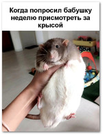 Один раз в обморок упала, стоя рядом с курящим человеком от запаха