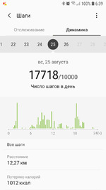 Мой личный шагофон. 25 августа.