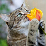 Чему научила меня работа