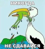 Первая неделя прошла. Я собой довольна.