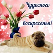 ����� �� ������� " ����� 60". ����� �� ������� �� 03.02.2019
