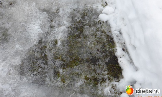 ����� ��� ������, ������: �������2019