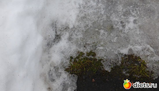 ��� ����� ��� ������, ������: �������2019