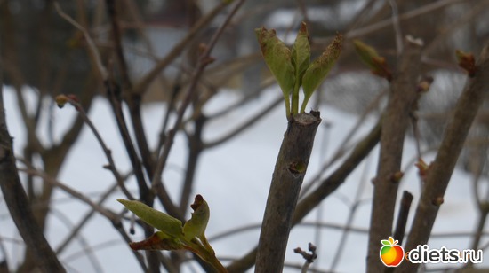 ����� ����������� � �����, ������: �������2019