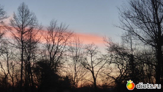 ��������������� 18.02.19, ������: �������2019