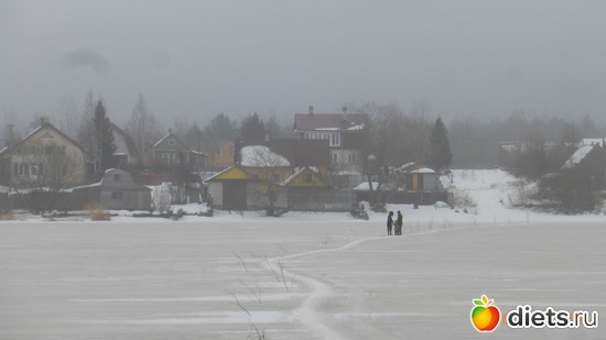 ������� �� �����, ������: �������2019