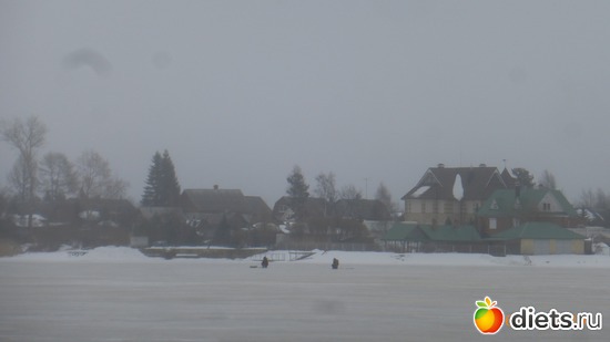 ������, ������: �������2019