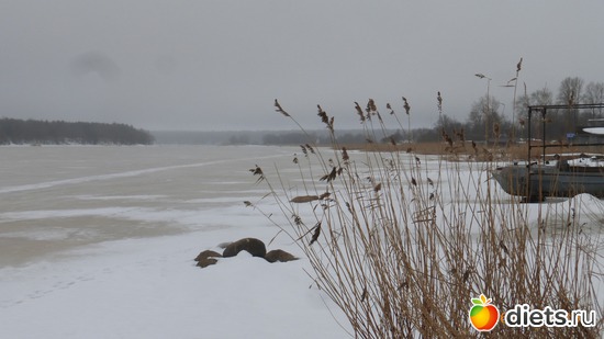 р.Волхов, альбом: Февраль2019