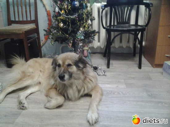 4 ����: ��� �