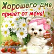 ����� �� ������� " ����� 60". ����� �� ������� �� 22.02.2019