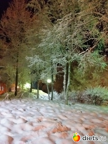 5 ����: ��� �