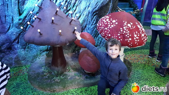 41 ����: ������� �����