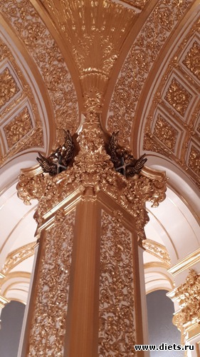 16 ����: ��� ����