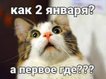 Правильной дорогой идем к стройности, товарищи! 123 серия, просто 1 января