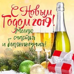 Забег по системе " Минус 60". отчёт по питанию за 03.01.2019