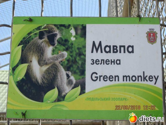 1 ����: ��������� �������