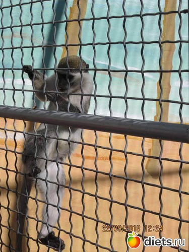 2 ����: ��������� �������