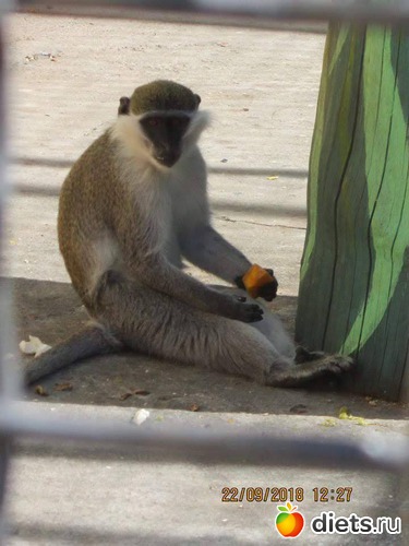 5 ����: ��������� �������