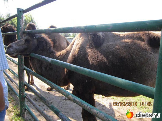 8 ����: ��������� �������