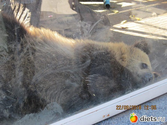 9 ����: ��������� �������