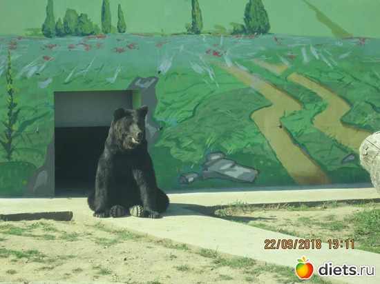 10 ����: ��������� �������