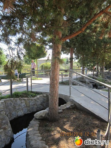 11 ����: ��������� �������