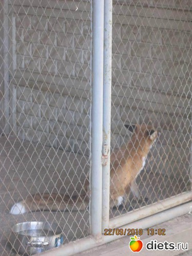 12 ����: ��������� �������