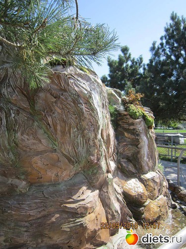 13 ����: ��������� �������