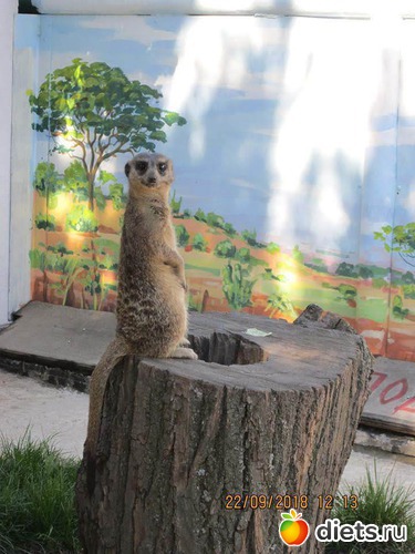 14 ����: ��������� �������