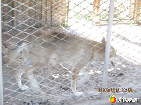 15 ����: ��������� �������